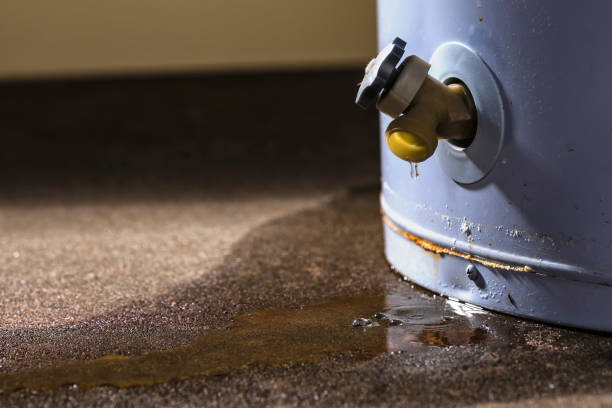 Best Water damage restoration near me  in Laguna Park, TX