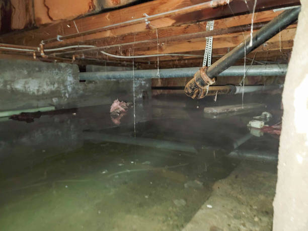 Best Sewage cleanup and water damage restoration  in Laguna Park, TX