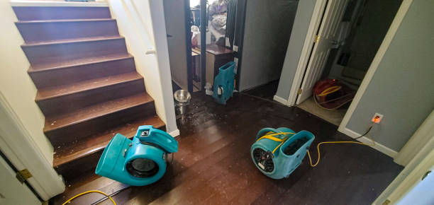 Best Commercial water damage restoration  in Laguna Park, TX