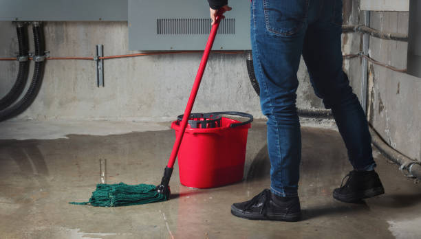 Best Flood restoration services  in Laguna Park, TX