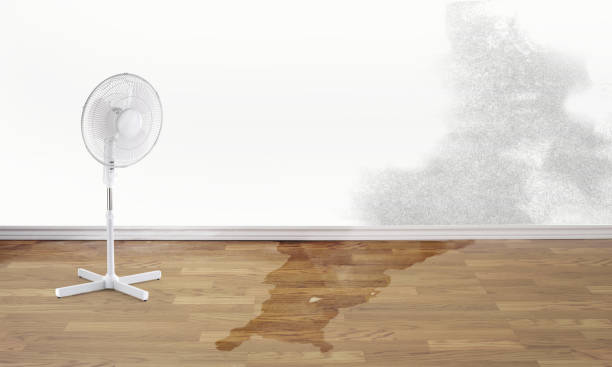  Laguna Park, TX Water damage restoration Pros