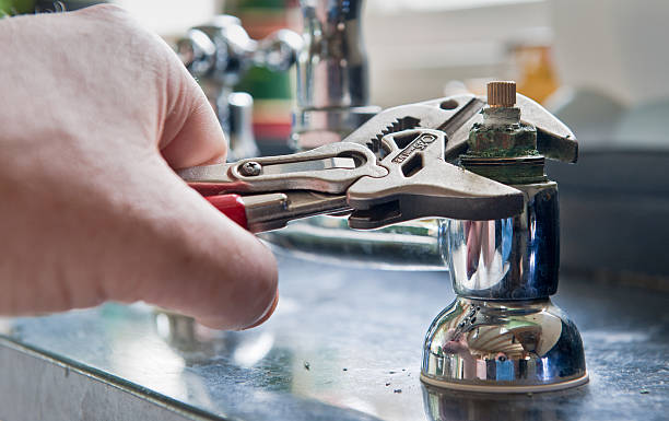 Best Mold removal after water damage  in Laguna Park, TX