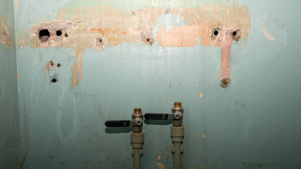 Best 24/7 water damage repair  in Laguna Park, TX
