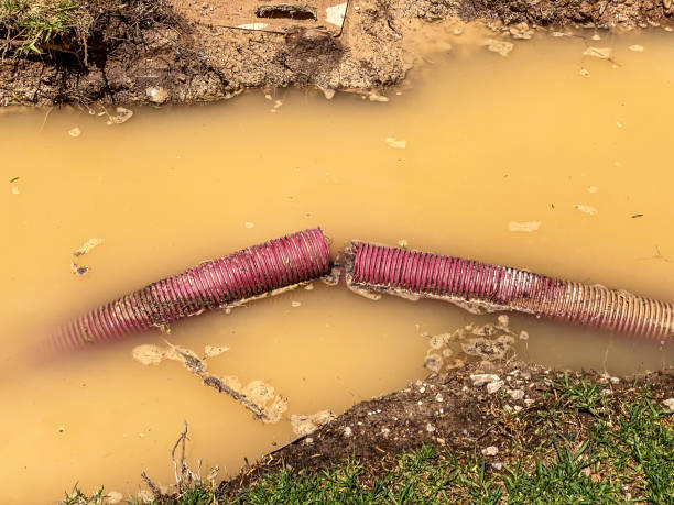 Best Water damage repair service  in Laguna Park, TX