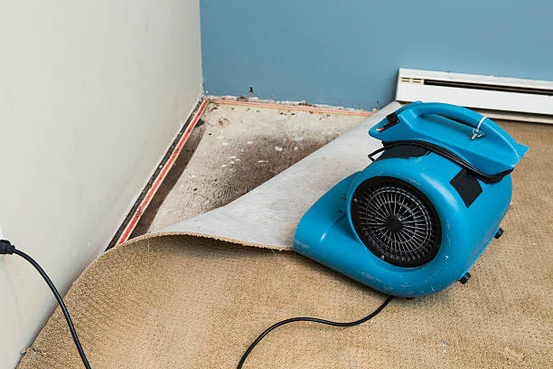 Best Flood damage cleanup  in Laguna Park, TX